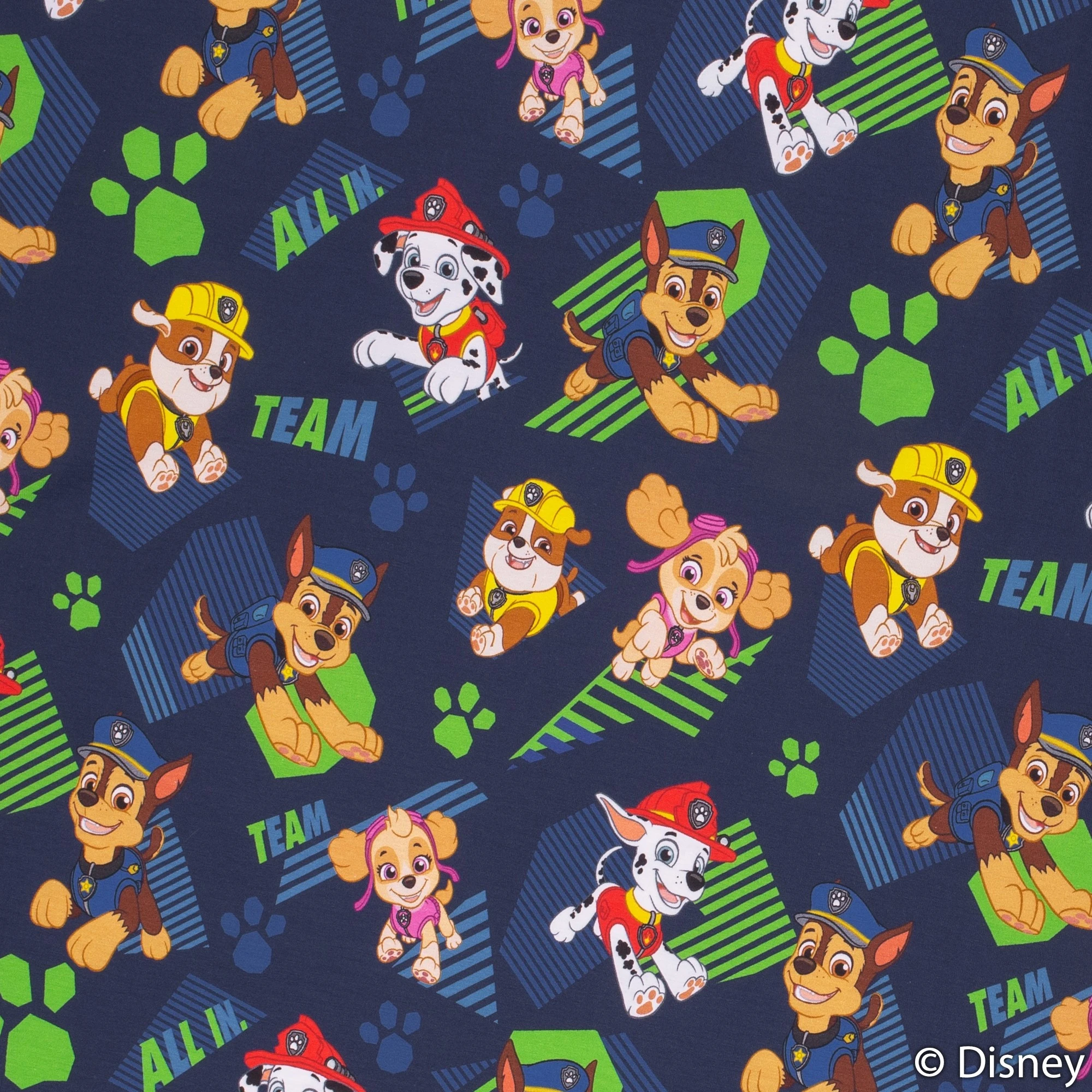 Jersey Stoffe Paw Patrol Dunkelblau grün Team