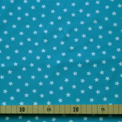 Jersey Stoffe kleine Sterne mint