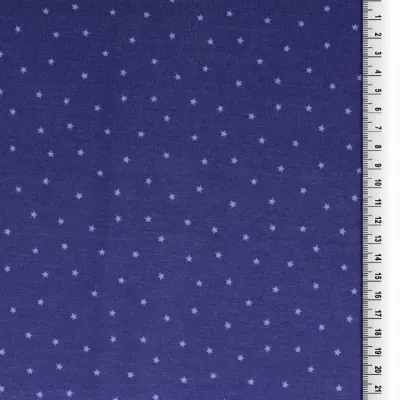 Jersey Stoffe Kombistoff Hippo Nilpferd Sterne hellblau