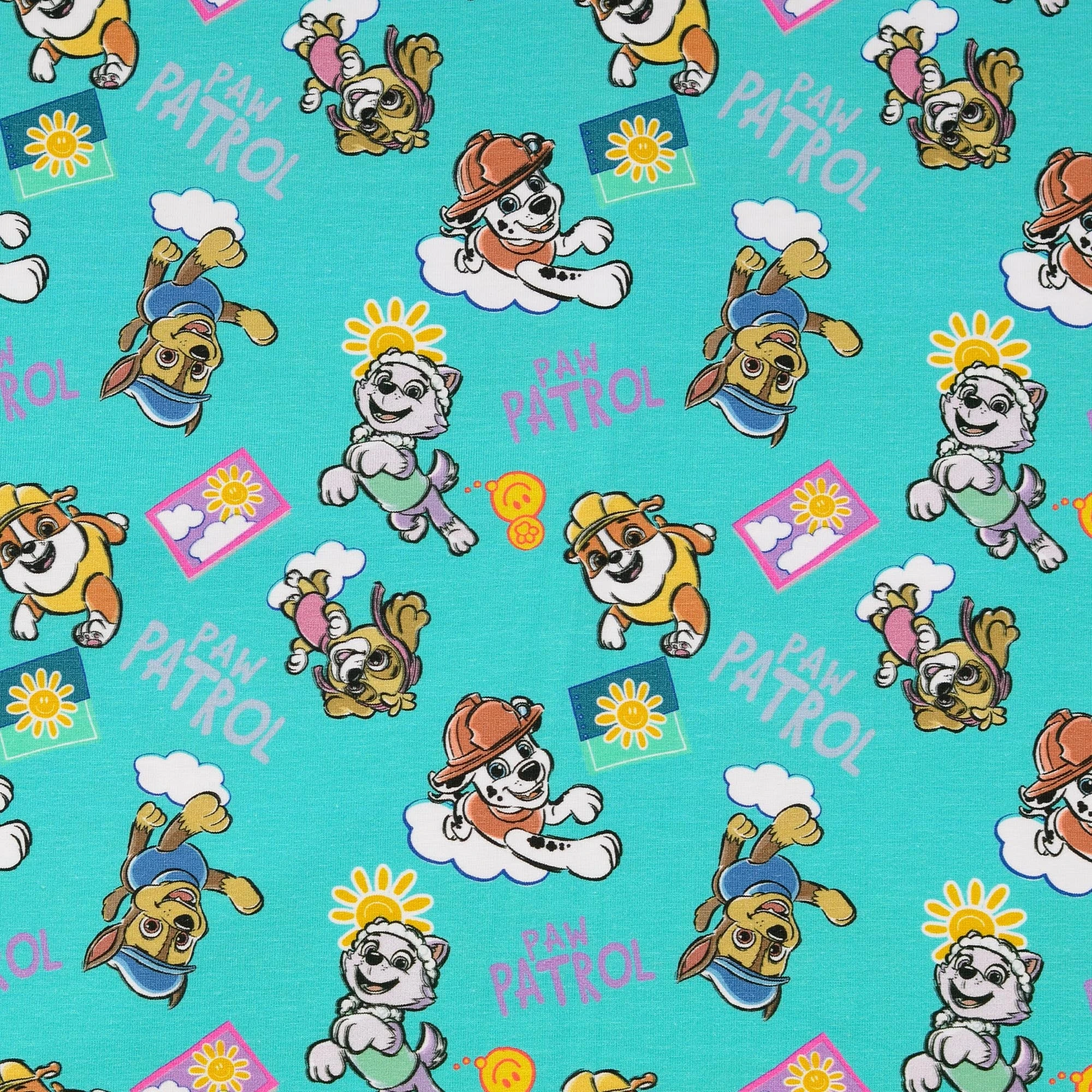 Jersey Stoffe Paw Patrol Türkis