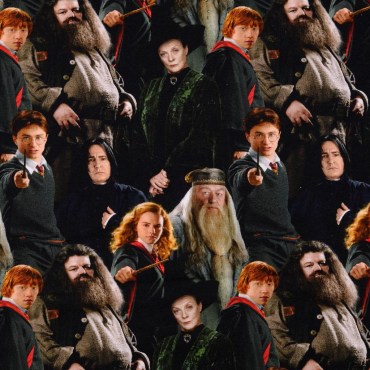 jersey_stoffe_harry_potter_Dumbledore_Hagrid_schwarz_1